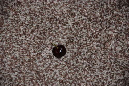 DSC_0815 A cherry