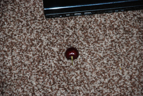 DSC_0816 Another cherry