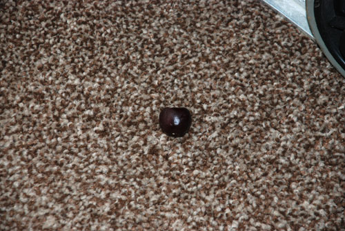 DSC_0818 Yet another cherry
