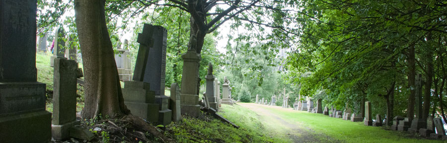 The Lingering Legacy of St. Bagnes the Bilious